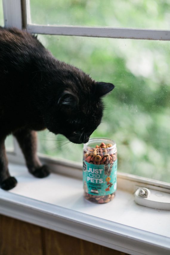 CBD Treats to Relax Both You and Your Pet
